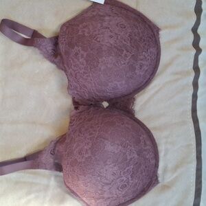 Lace Auden Underwire Bra in brown 44G